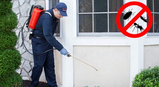 Saruhanlı Böcek ve Haşere İlaçlama böcek ilaçlama ve haşere kontrolü — ilaclama-tr.com